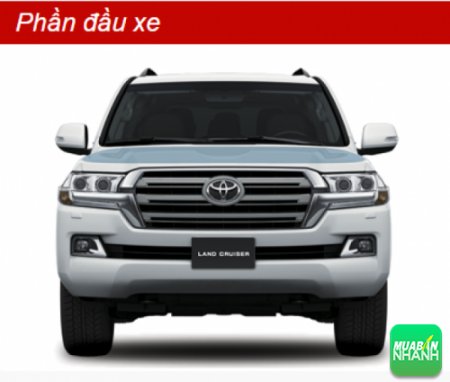Phần đầu xe