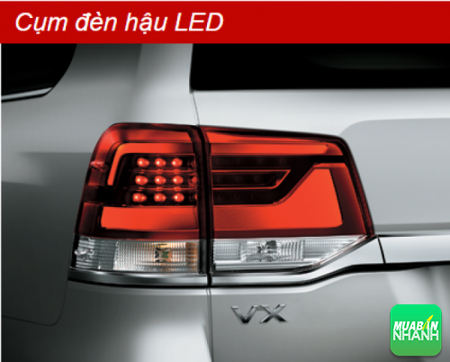 Cụm đèn hậu LED